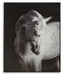 Archerwick Wall Art - Clarks Hardware - Iowa