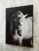 Archerwick Wall Art - Clarks Hardware - Iowa